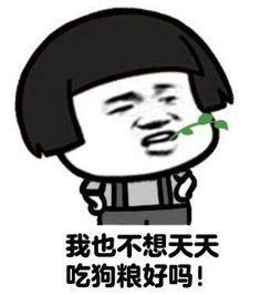 我也不想天天 吃狗粮好吗！