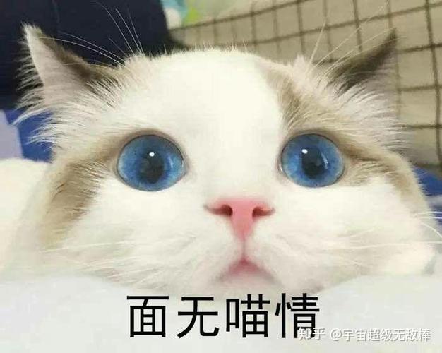 面无嘴情 @宇宙超级无敌棒