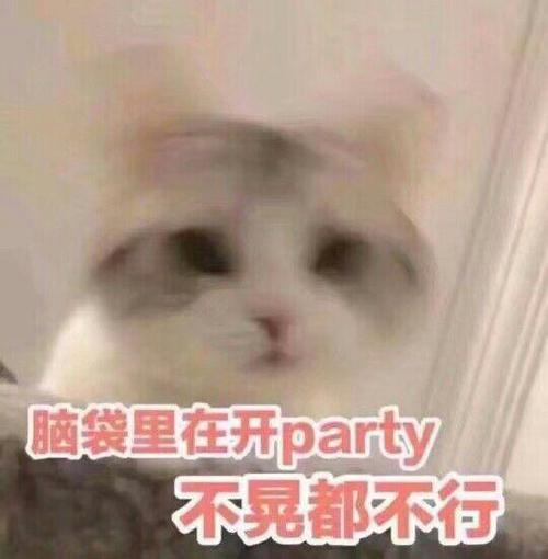 脑袋里在开party 不晃都不行