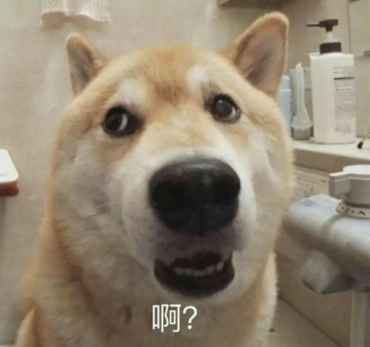 啊？