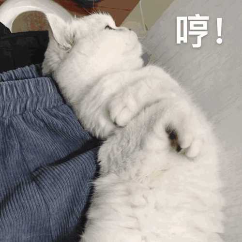 哼！