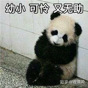 幼小可怜叉无助