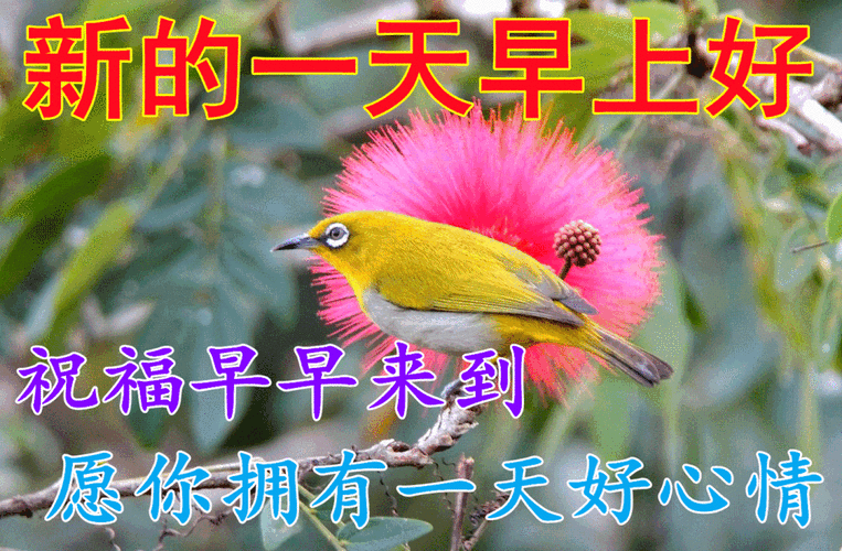 新的一天早上好 祝福早早来到 愿你拥有一天好心情