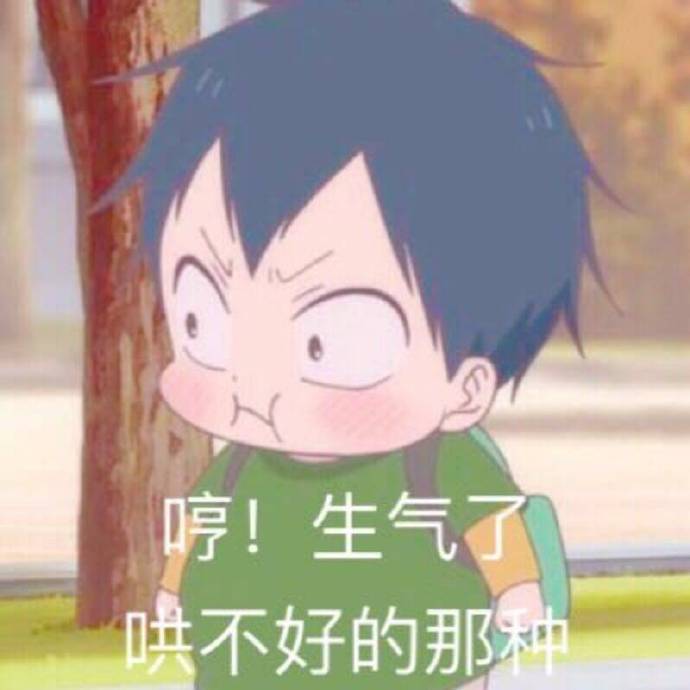 哼！生气了 哄不好的那种