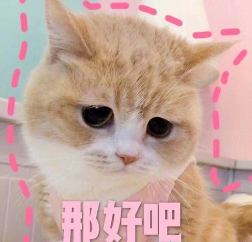那好吧