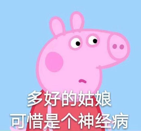 多好的姑娘 可惜是个神经病