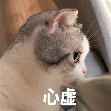 心 虚