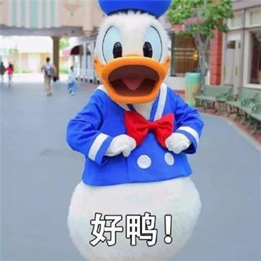 好鸭！
