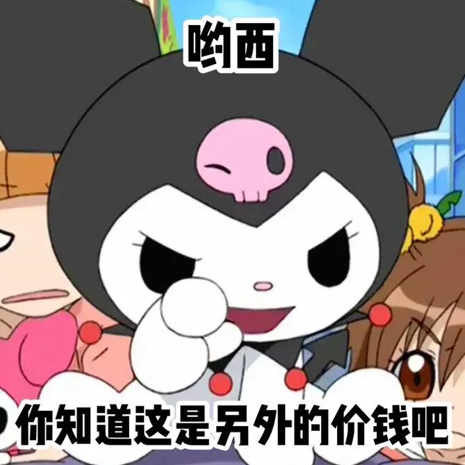 购西 你知道这是另外的价钱吧