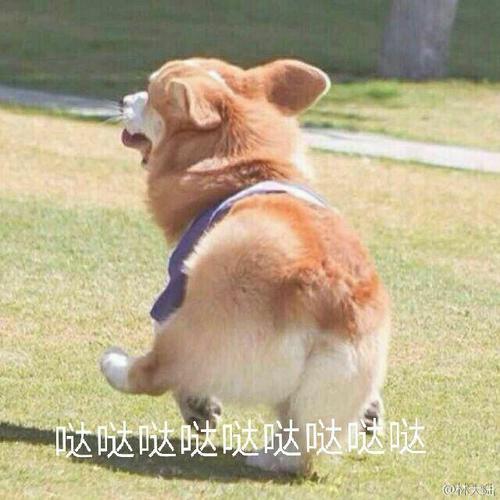 哒哒哒哒哒哒哒哒哒