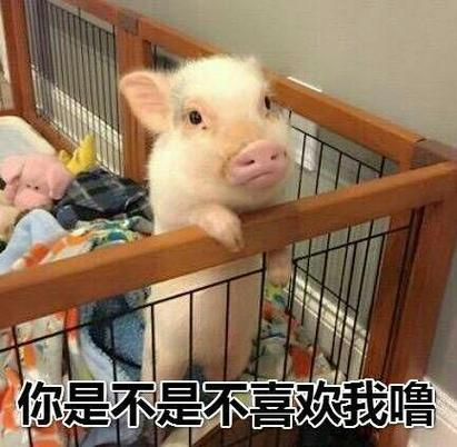 你是不是不喜欢我噜