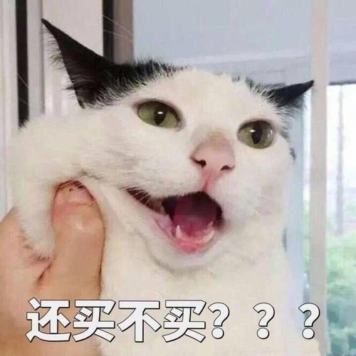 还买不买？？？