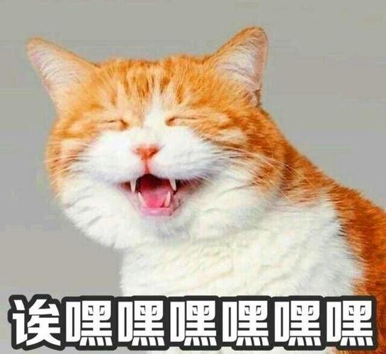 埃嘿嘿嘿嘿嘿