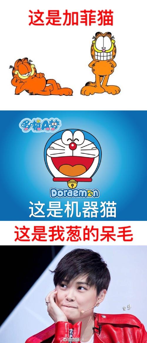 这是加菲猫 Doraeman 这是机器猫 这是我葱的呆毛