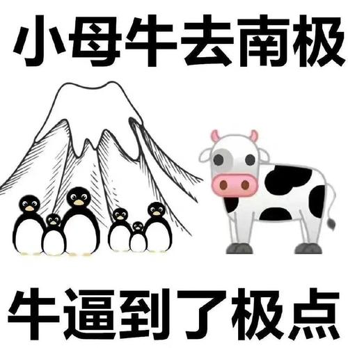 小母牛去南极 牛逼到了极点