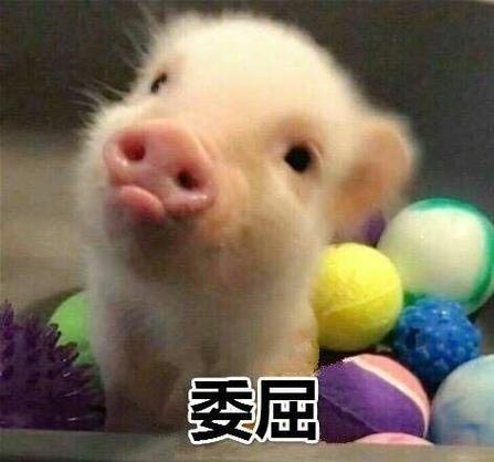 委屈