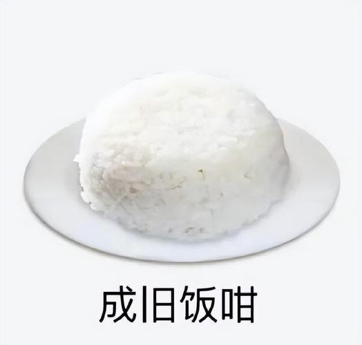 成旧饭