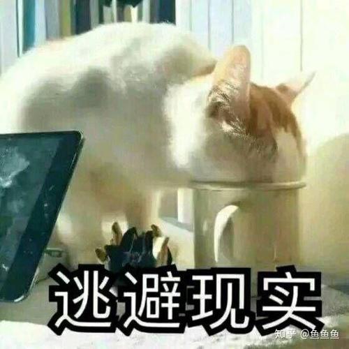 逃避现实