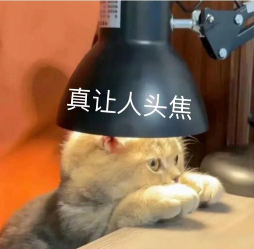 真让人头焦