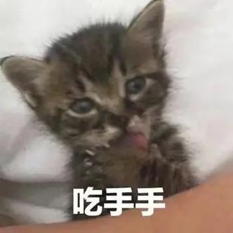 吃手手