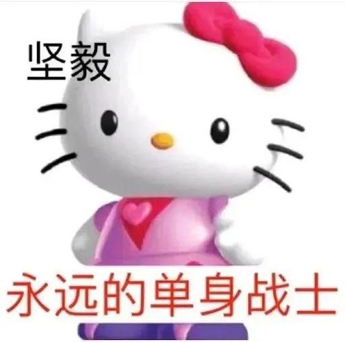 坚毅 永远的单身战士