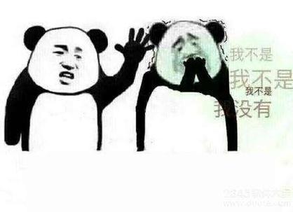 我不是 我不是 我不是 没有