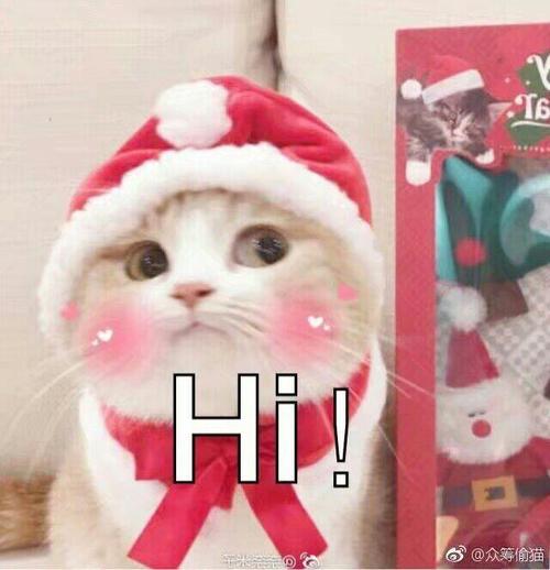 Hi @众筹偷猫