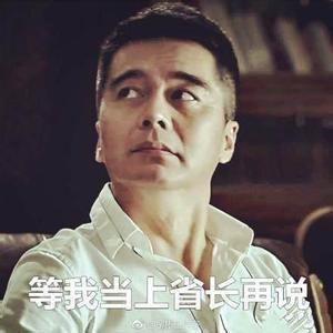 等我当上省长再说