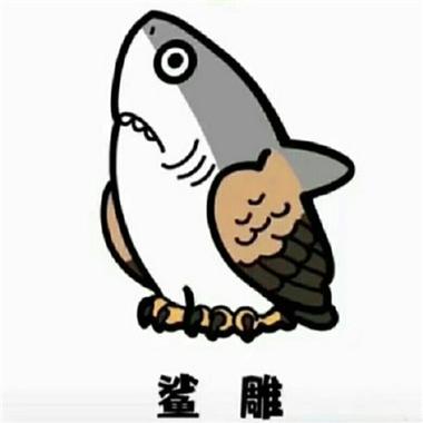 鲨 雕
