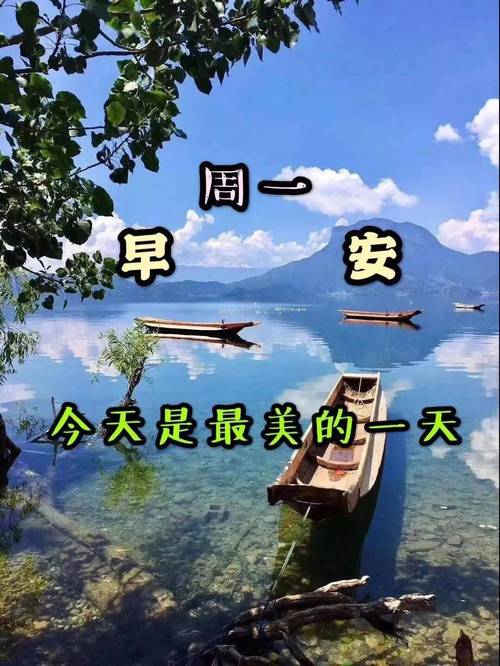 周一 早 安 今天是最美的一天