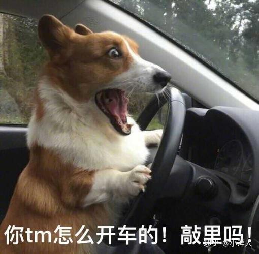 你tm怎么开车的！敲黑吗！