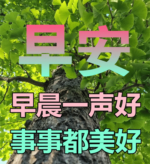 早安 早晨一声好 事事都美好