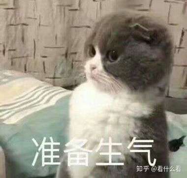 准备生气 知乎@看什么看