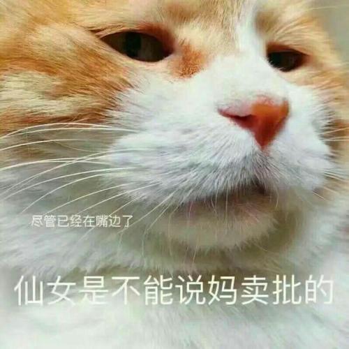 尽管已经在嘴边了 仙女是不能说妈卖批的