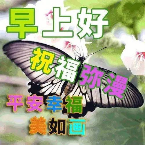 早上好 祝福弥漫 平安幸福 美如画