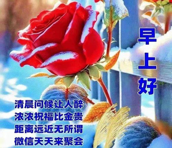 早上好 清晨问候让人醉 浓浓祝福比金贵 距离远近无所谓 微信天天来聚会