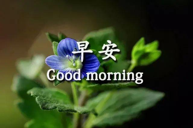 早安 Goodmorning