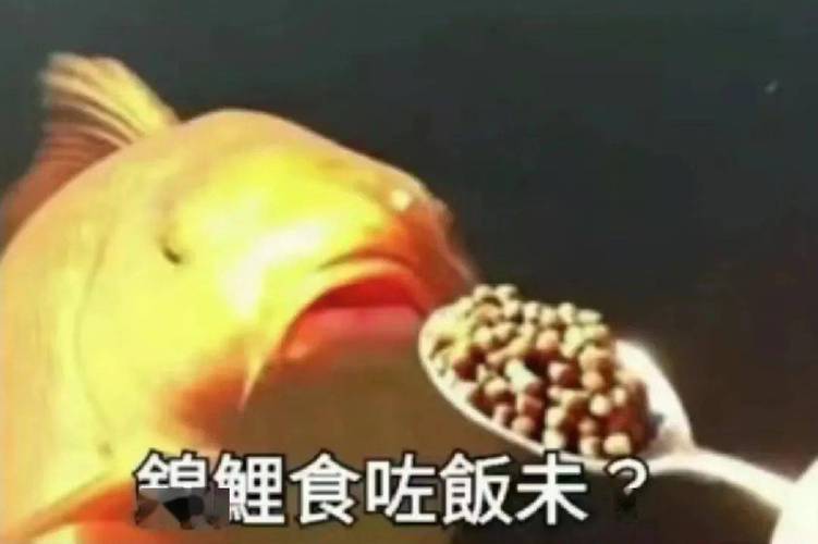 领食吃飯末