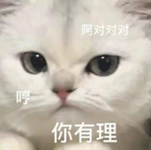 阿对对对 你有理