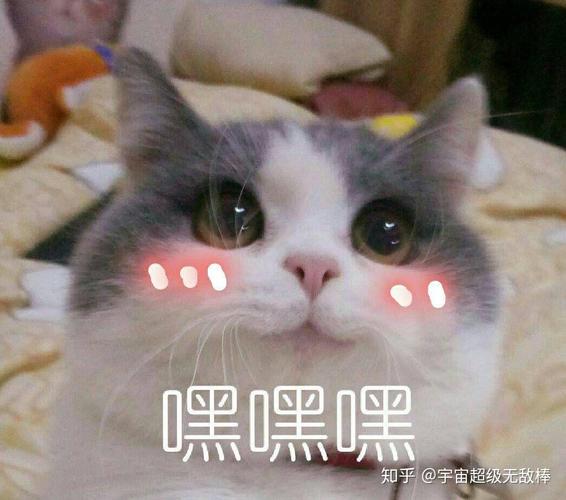 嘿嘿嘿 知乎@宇宙超级无敌棒
