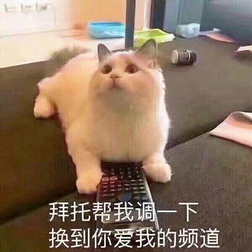 拜托帮我调一下 换到你爱我的频道
