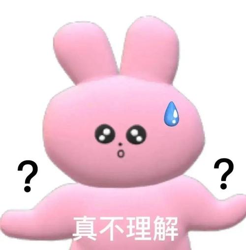 真不理解