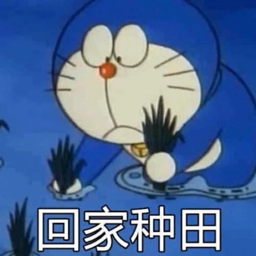 回家种田