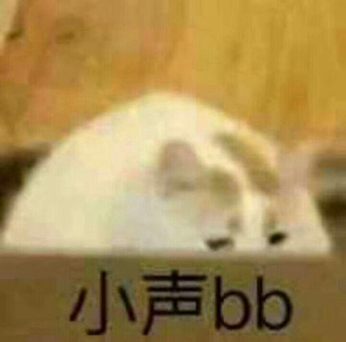 小声b