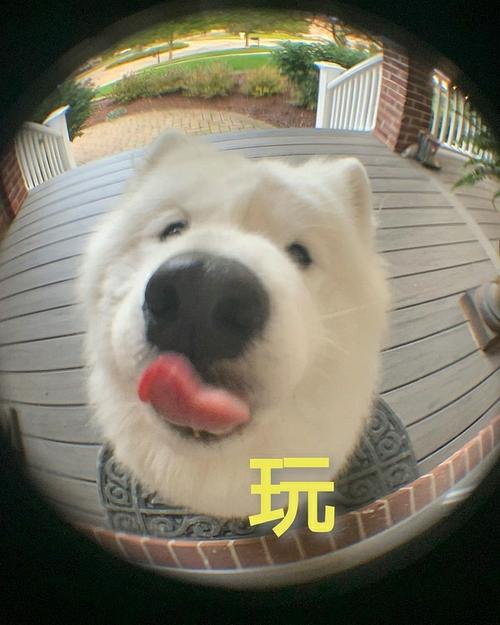 玩 玩