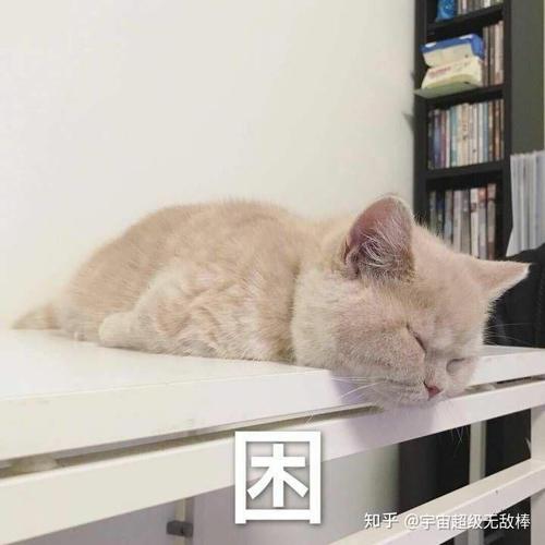因 知乎@宇宙超级无敌棒