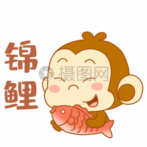 锦鲤 摄图