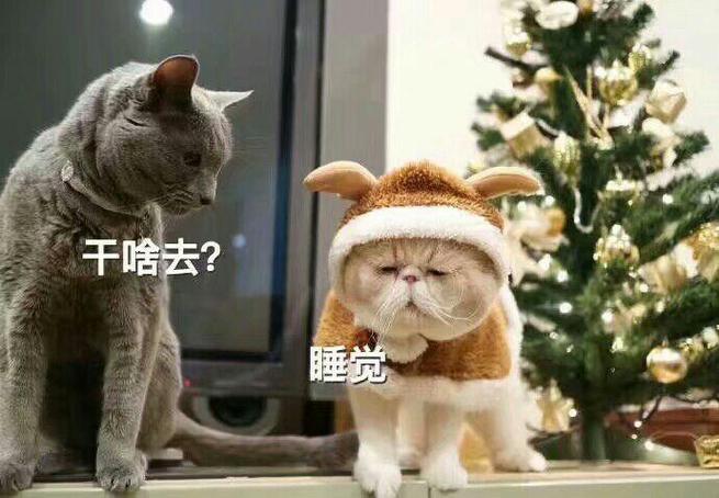 干啥去？ 睡觉