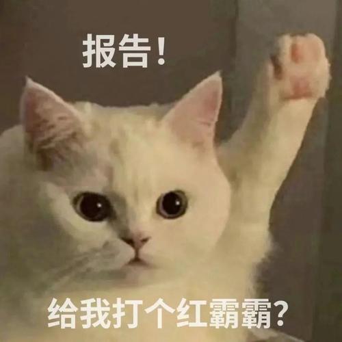 报告！ 给我打个红霸霸？