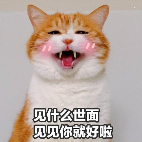 见什么世面 见见你就好啦